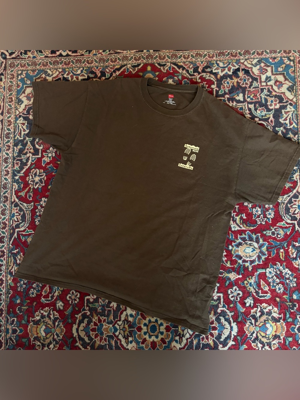 Vintage Brown Nederland Colorado T-Shirt